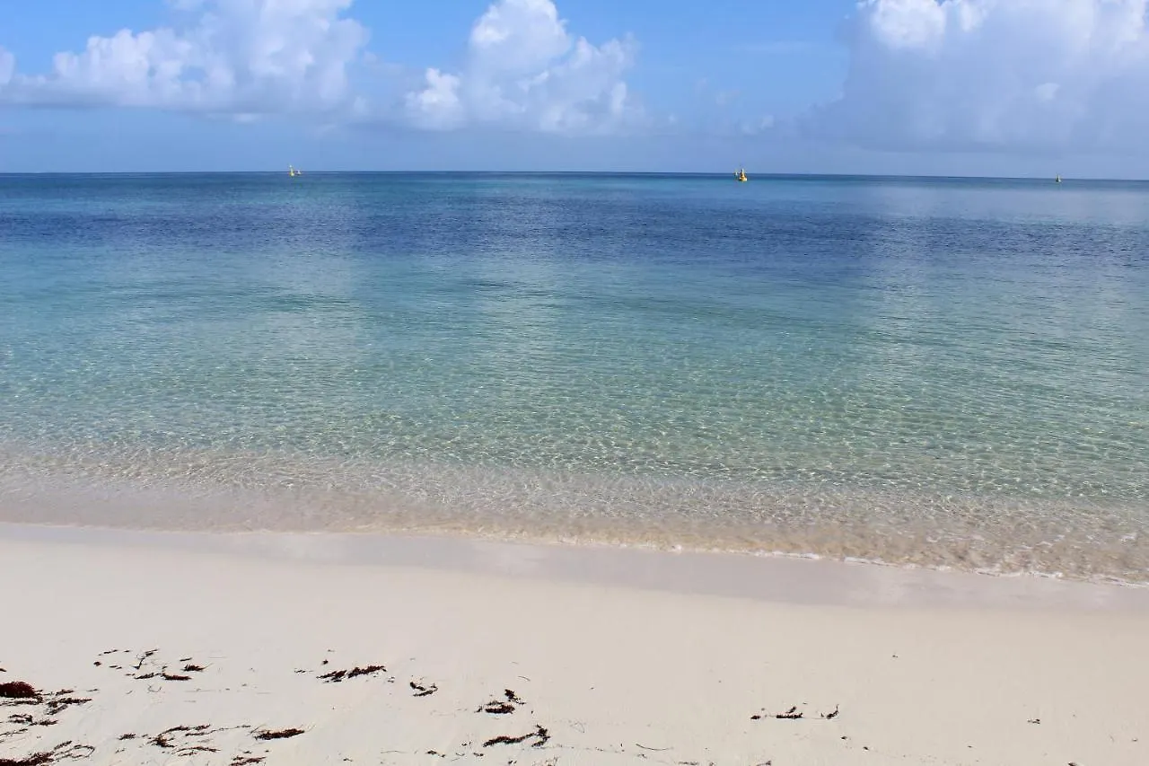 Bed & Breakfast Bed and Breakfast Puerta del Mar Cozumel San Miguel de Cozumel
